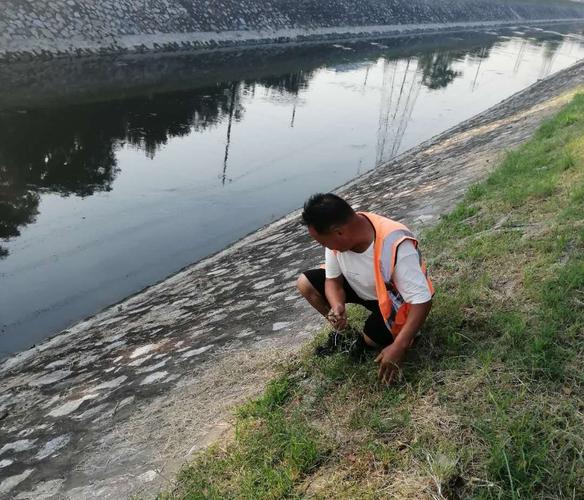 修剪边坡与绿化带草皮、修剪绿篱及草皮种植技术指南