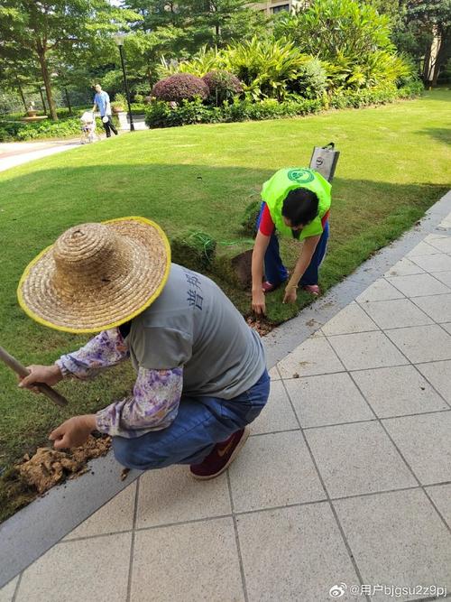 Green Earth Action，我在行动！——草皮种植，为大地铺上绿色新装