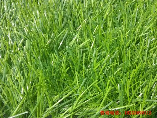 新闻:泾源县室外假草皮工厂